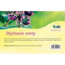 Dýchacie cesty